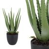 Sztuczna Aloes w Doniczce, 45 cm Wysokości, Zielony, Jak Żywa Dekoracja