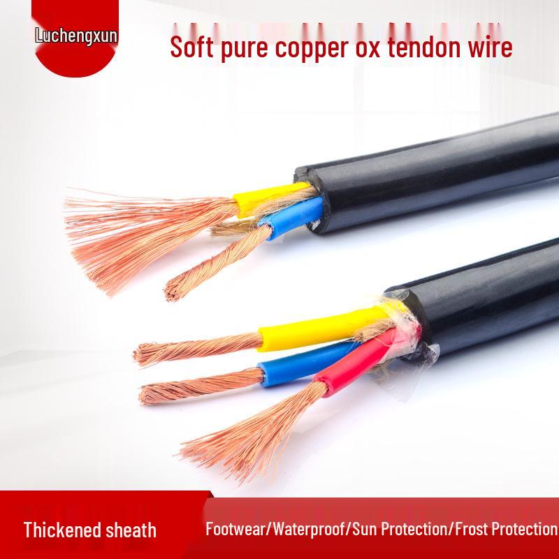 Pure Copper Sheath Power Cord - Black, Two-Core (1/1.5/2.5/4 sq), Beef Tendon Wire for Household Use