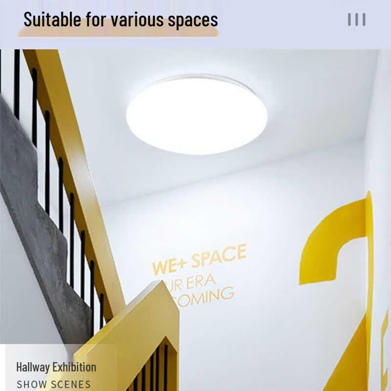 Xingongpai 3-Proof 3-Color Dimmable LED Ceiling Light