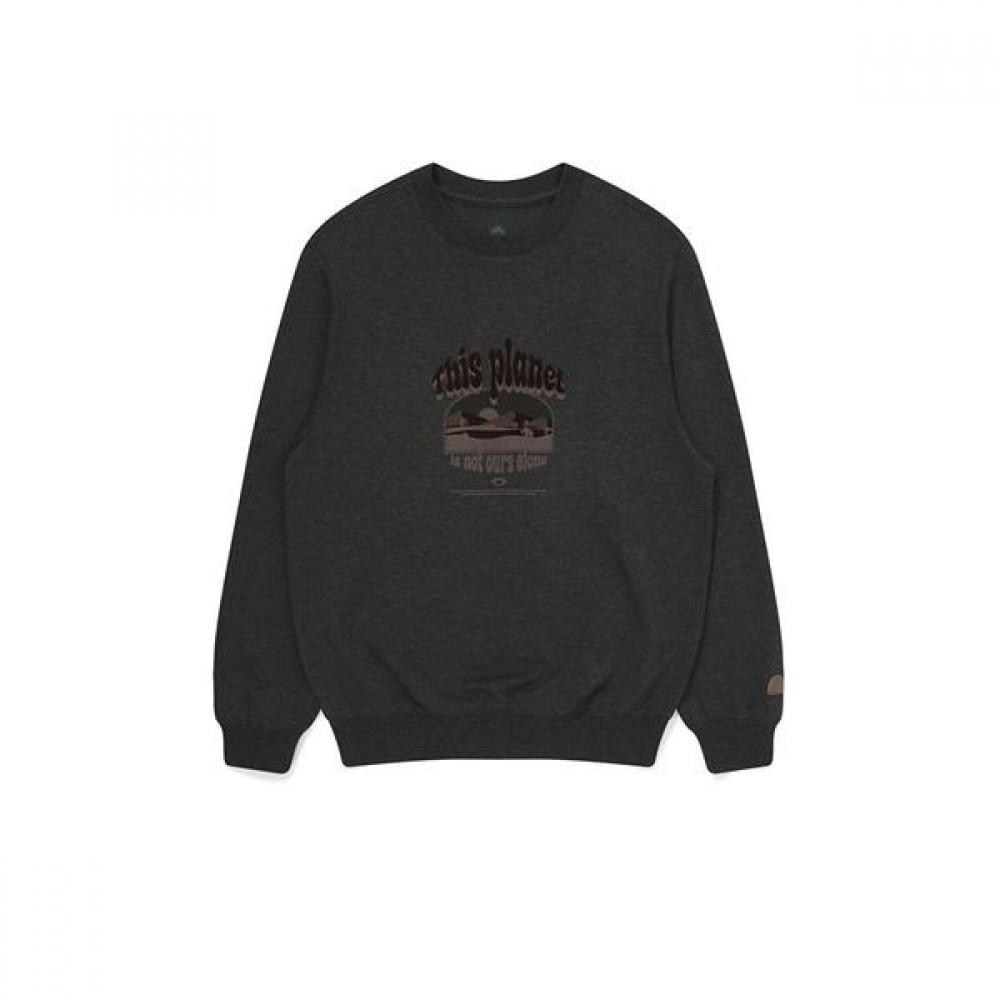 Bbc Earth Men S Fleeve Sweater