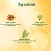 Biotique Morning Nectar SPF 30 Sunscreen Moisturizer – Wild Turmeric & Neem for Flawless Skin – 120 ml