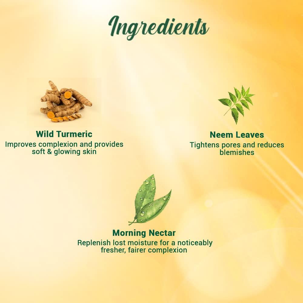Biotique Morning Nectar SPF 30 Sunscreen Moisturizer – Wild Turmeric & Neem for Flawless Skin – 120 ml