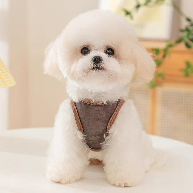 Spring and Summer Breathable Mesh Bear Medium and Small Dog Teddy Bigbear Vest Pet Clothing Cat Puppy Dog Clothing