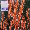 Вінілова платівка LORD KITCHENER The Roots Of Soca KCR334 Charlies Recor 1983 США Реггі Ска Даб Вживана