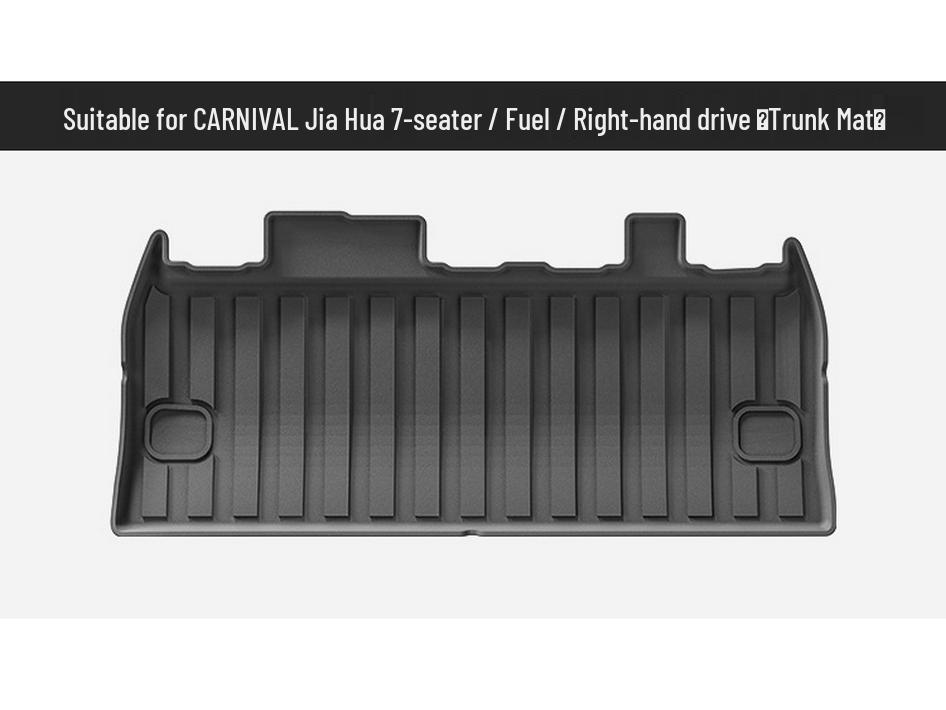 TPE Floor Mats & Trunk Liner for 2022-2025 Kia Carnival