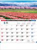 Japanese Landscape Characters 2026 Wall Calendar TD-801 CL26-1036