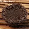 Bird Nest(6cm) – wie abgebildet