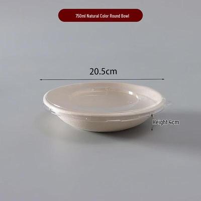 Eco-Friendly Disposable Salad Bowls with Lids