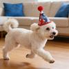 Patriotic American Flag Pet  Hat With Red  – Perfect For Celebrations & Pet Parties