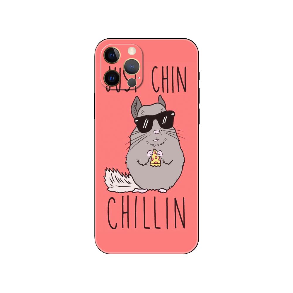 Cute Cartoon Chinchilla phone case for iphone 5 5s 2020se 6 6s 7 8 plus x 10 XR XS 11 12 13 mini pro MAX black tpu back cover