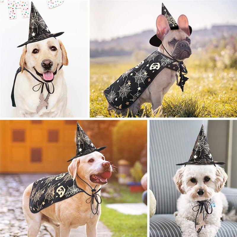 M-Modern-Halloween Cat Costume Pet  Cape And Hat Cool Outfit Pet  Cape Hat Cats Cosplay Clothes Apparel Halloween