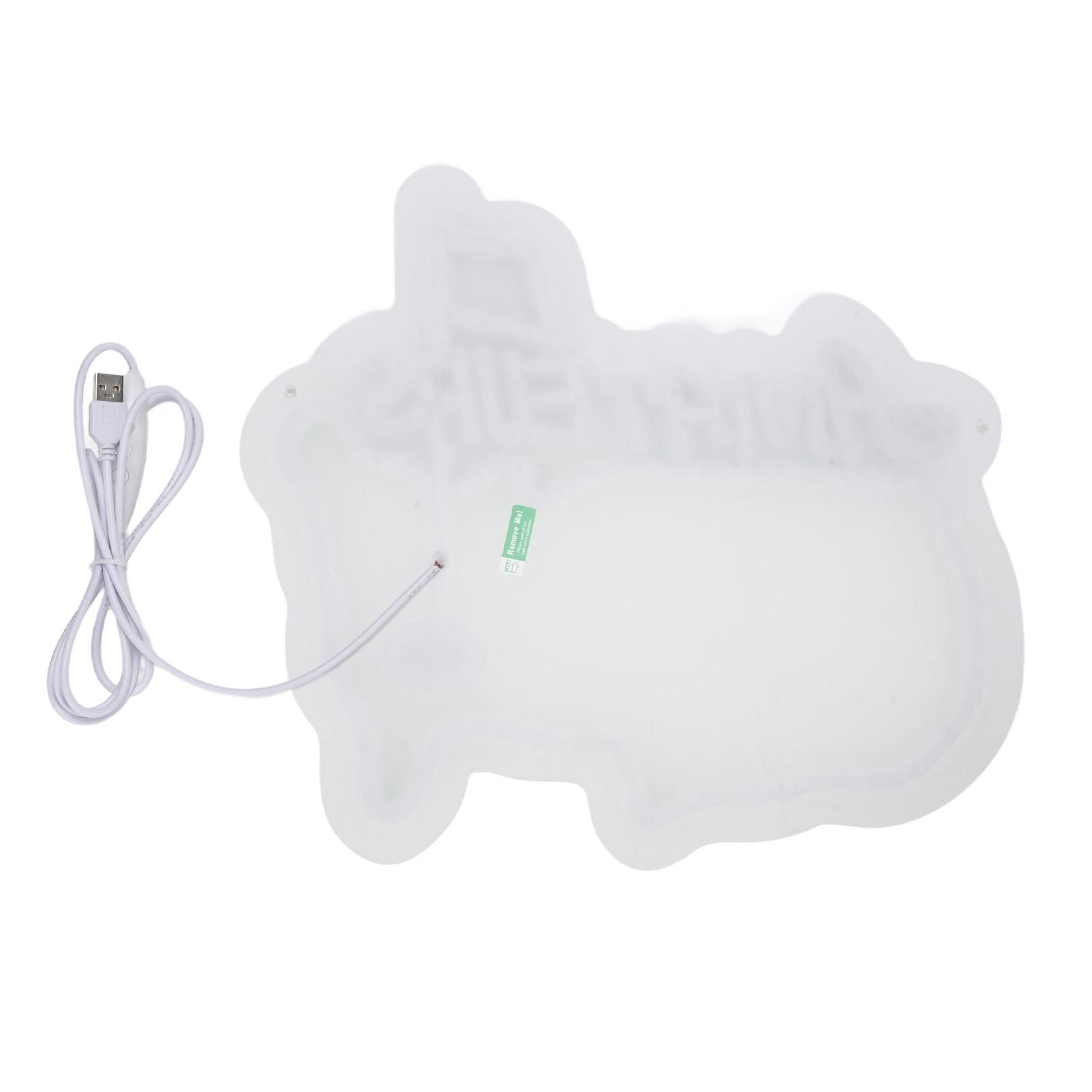 

Amateurs Sign Green Dimmable LED Light Wall Decor USB Powered Bedroom Room Club Playroom Decoration