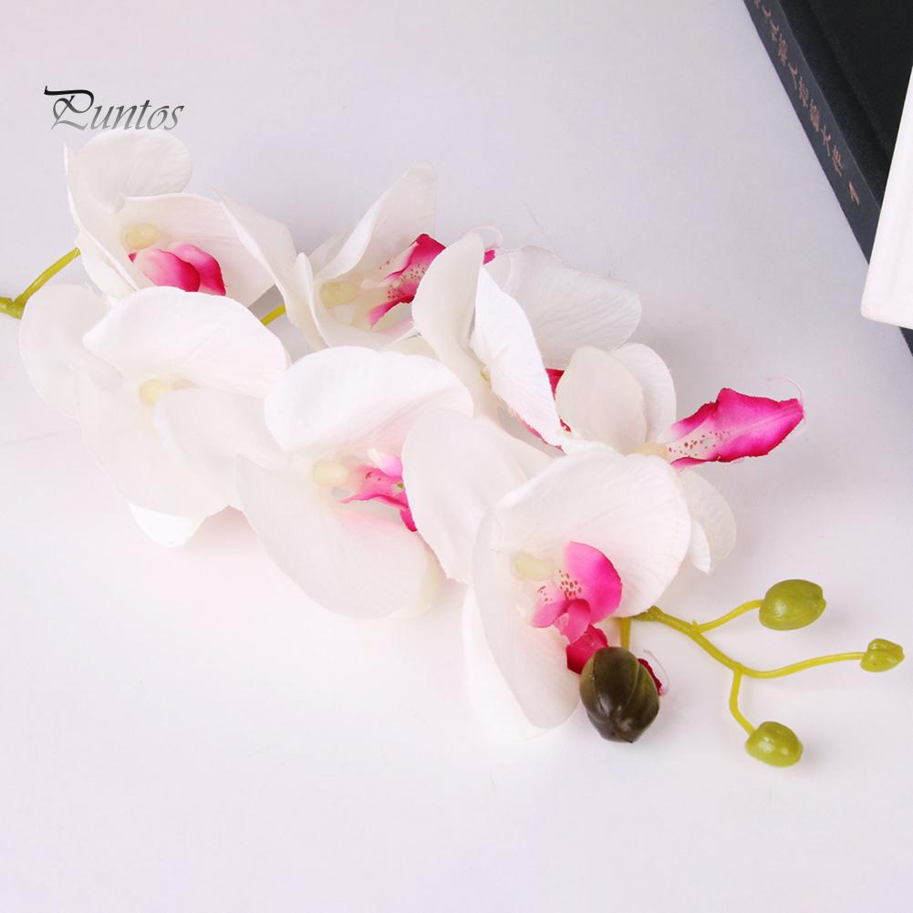 Orchidea Farfalla Artificiale Gialla: La Bellezza Che Non Sfiorisce Mai!