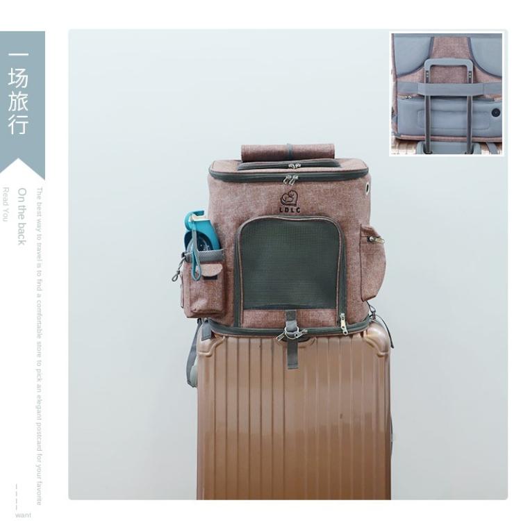 Tašky na přenášení koček Prodyšné otvory Skládací cestovní taška na zvířata pro kočky a malé psy Taška s dvojitými dveřmi