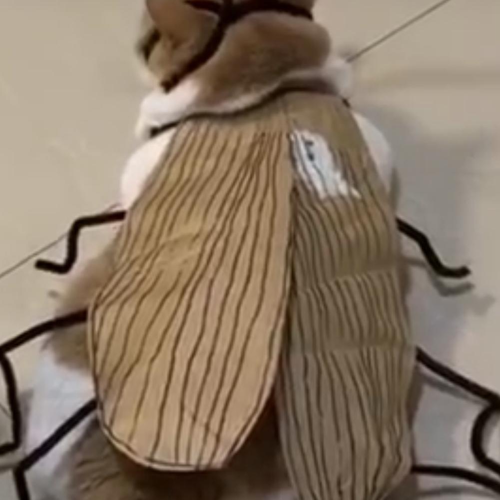 Cat Cockroach Costume –Cat Cockroach Clothing DIY Kit for Halloween, Funny Kitten Cape Craft Set with Wings and Antennae