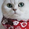 Cat Triangle Bib Cute Japanese Style Adjustable Mohair Pet Triangle Scarf for New Year Red XS