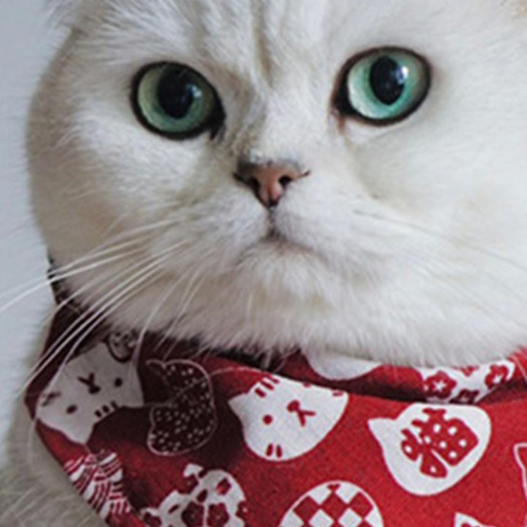 Cat Triangle Bib Cute Japanese Style Adjustable Mohair Pet Triangle Scarf for New Year Red XS