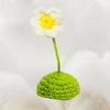 Small Animal Mini Hand Knitted Pet Hat Tiny Hamster Hat for Parrot Snake