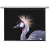 Kuaiduoxiao Projection Screens