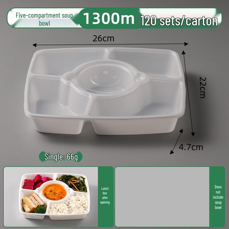 Disposable Bento Lunch Box