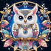 5D DIY Partial Special Shaped Drill Diamond Painting Kit Peacock Owl Decoration
