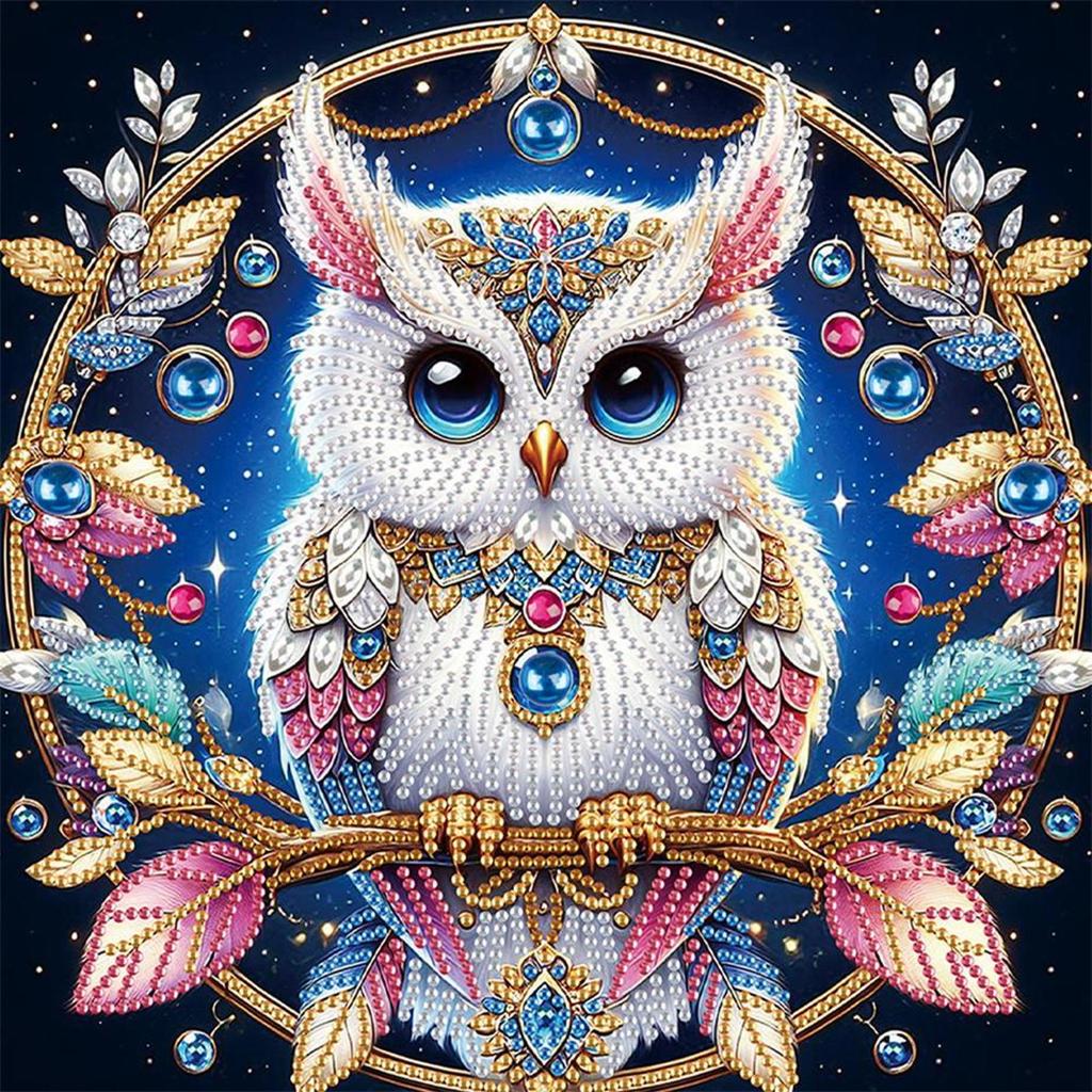 5D DIY Partial Special Shaped Drill Diamond Painting Kit Peacock Owl Decoration