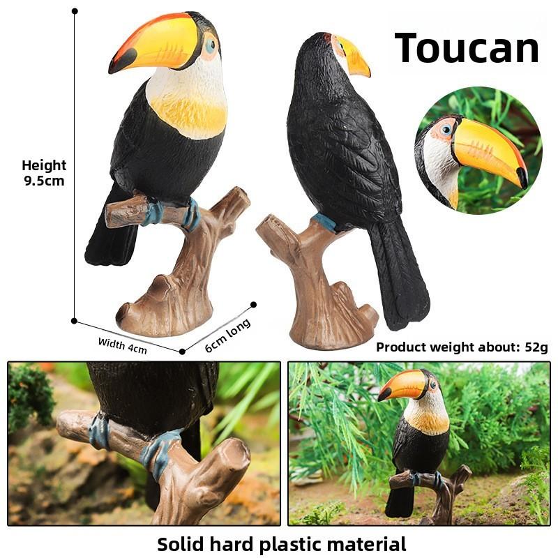 Animal Model Wildlife Solid Plastic Parrot And Hornbill Figures For Kids Gift