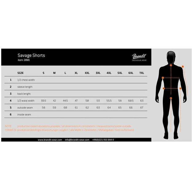 Brandit Шорты Savage Vintage