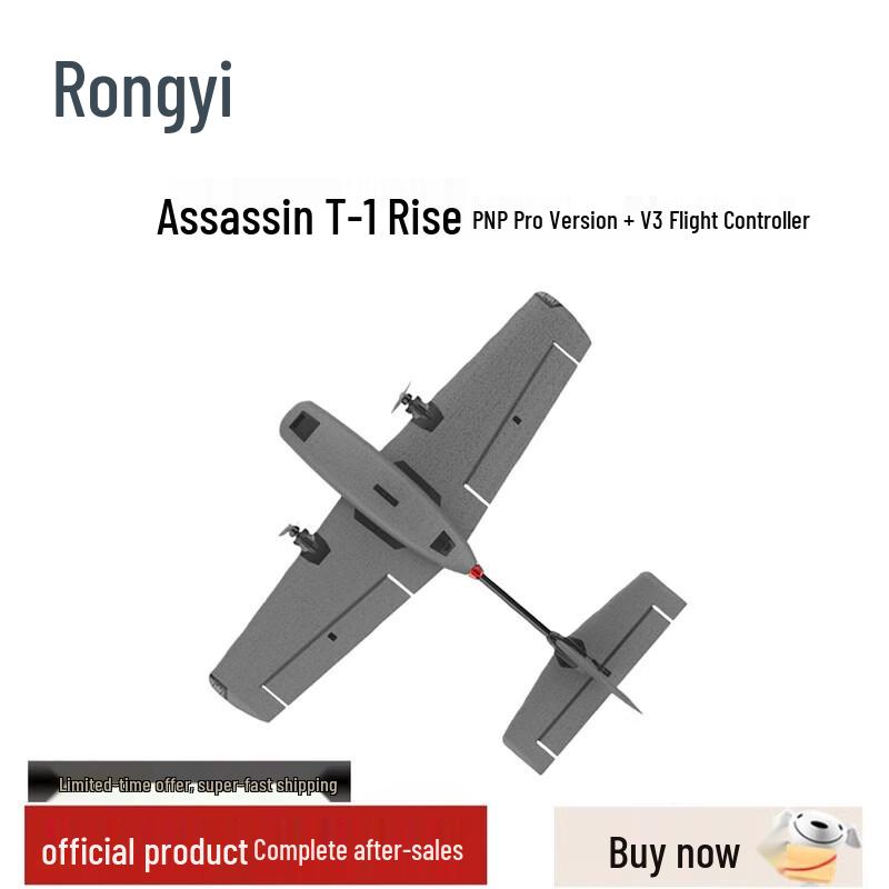 Assassin T-1 Professional RC Glider