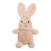 Cute Little Rabbit Plush Toy with Twistable Head Polyester 31cm-50cm Perfect for Claw Machine or Birthday Gift for Unisex