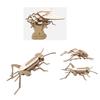 Wood 3D Puzzle Insect Model Disassembled Puzzle Block Kits Set for Children and Collectors Early Learning Education Toy