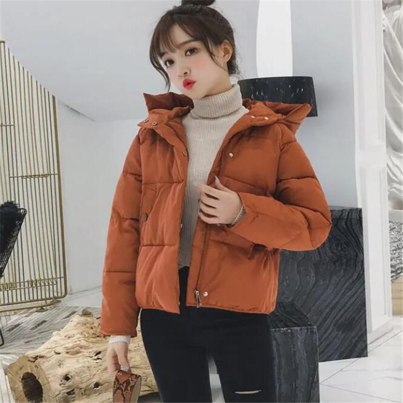 Nuova Giacca Invernale con Cappuccio Donna Cappotto in Cotone Parka Corto Casual Soprabito Giacca Imbottita Calda Parka Femminile Giacca con Zip Capospalla