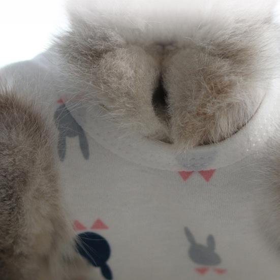 Kjæledyrkastreringsdrakt Høy elastisitet Festetape Fast tegneseriemønsterspenne Justerbar kjæledyrvalp Hund Kirurgisk restitusjonsklær Kjæledyrtilbehør