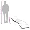 VidaXL Sun Lounger and Cushion Light Grey 55x199x50 Cm Braided Resin, Sunbed, Reclining Sun Lounger, Bed of 368250