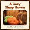 Carrot-shaped Small Bed – Guinea Pig Sofa/Cage Mat, Warm and Comfortable Bedding,Suitable for Rabbits,Guinea Pigs,and Other Pets