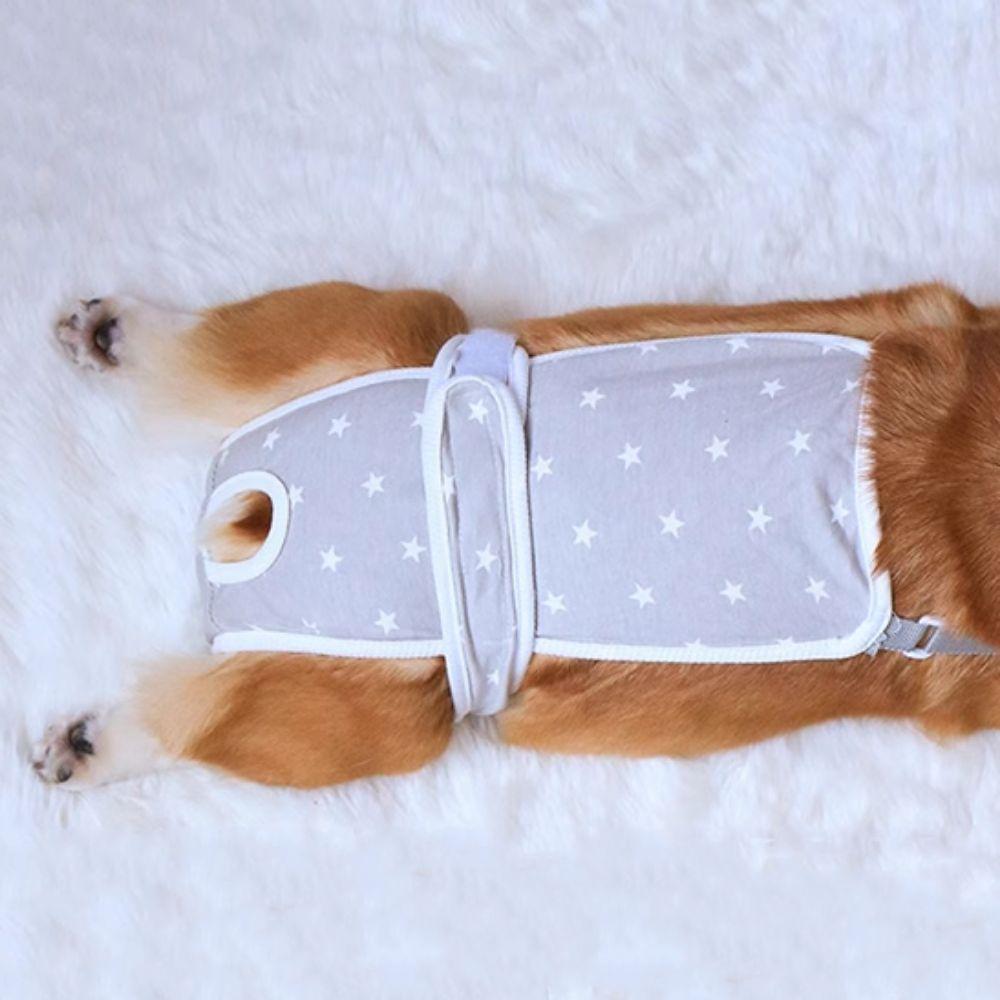 Soft Dog Sanitary Pantie Star Pattern Dog Menstruation Pant Female Dog Shorts  For Four Seasons