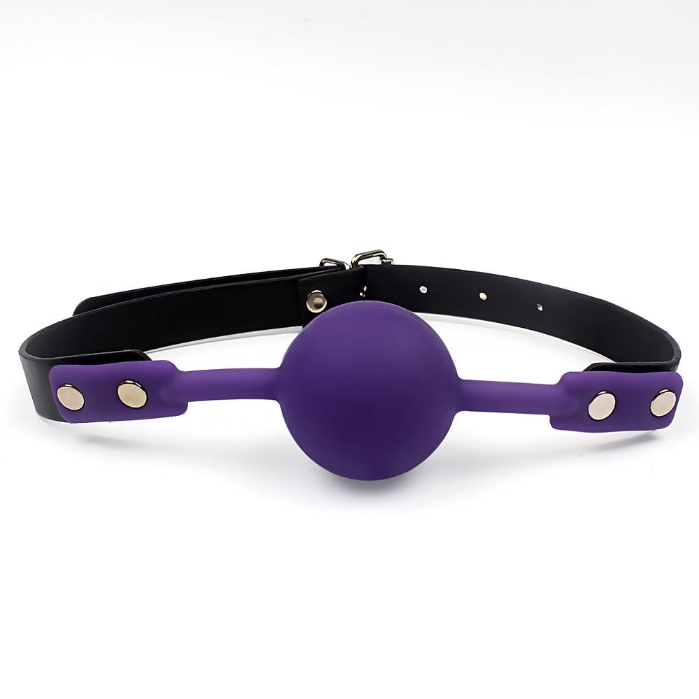 Silicone SM Flirting Discipline Gag Toy