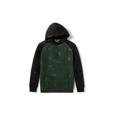 Sweat à capuche color block brodé logo arbre Homme Sweats à capuche Vert A23Z3-CD9