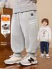 Right European Boys' Fleece-Lined Sports Sweatpants - 2025 Autumn/Winter New Trend for Toddlers