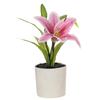 Fake Flower 3D Printing Film Small Lily Bonsai Creative Artificial Flower Interior Decoration Decoration Factory Simulation Pot