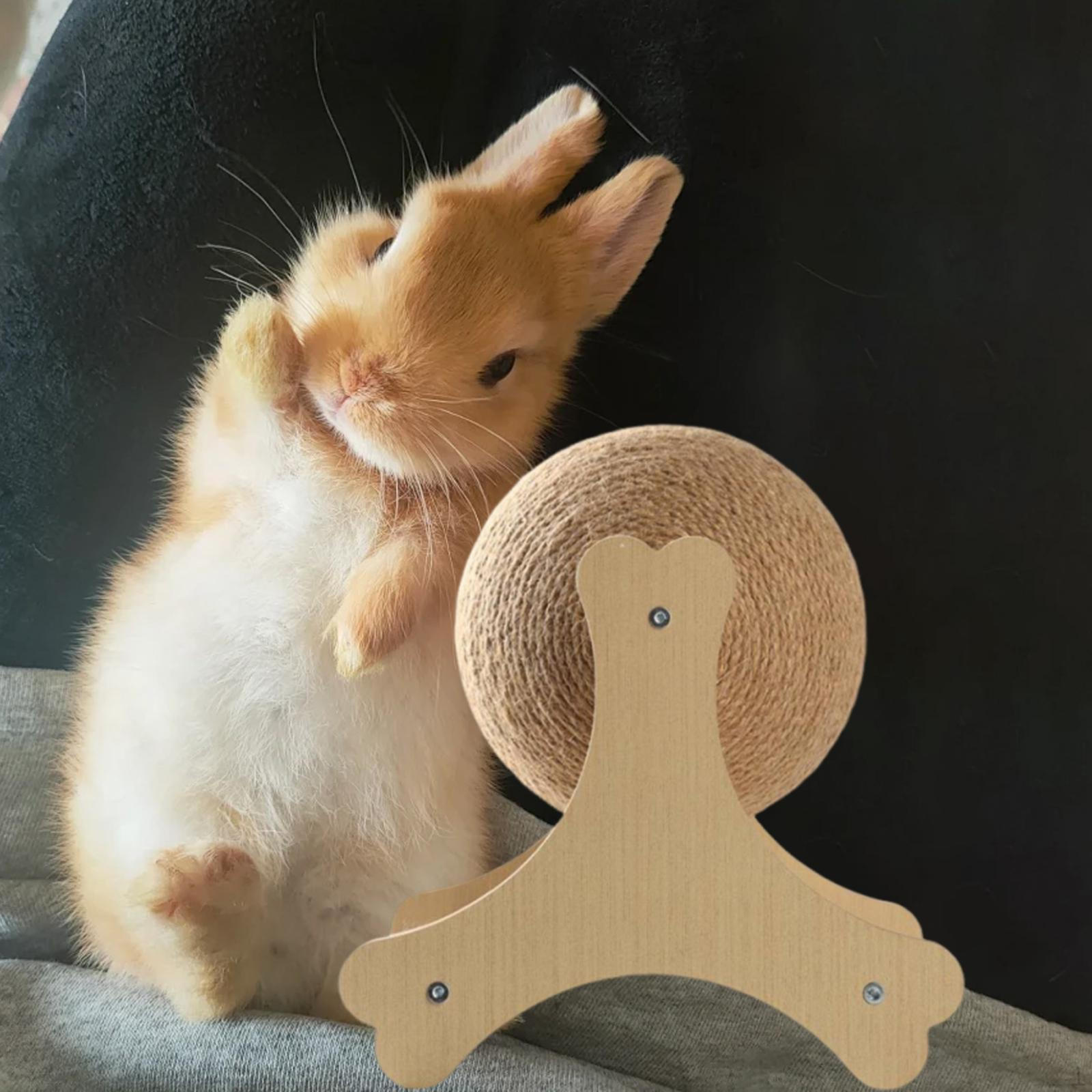 

Мяч-когтеточка на устойчивом основании для использования в помещении Bone Shape