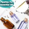 10/100Pcs Plastic Pipettes 3ml Transparent Transfer Pipette Droppers Epoxy Resin Casting Scientific Experiment Liquid Extraction