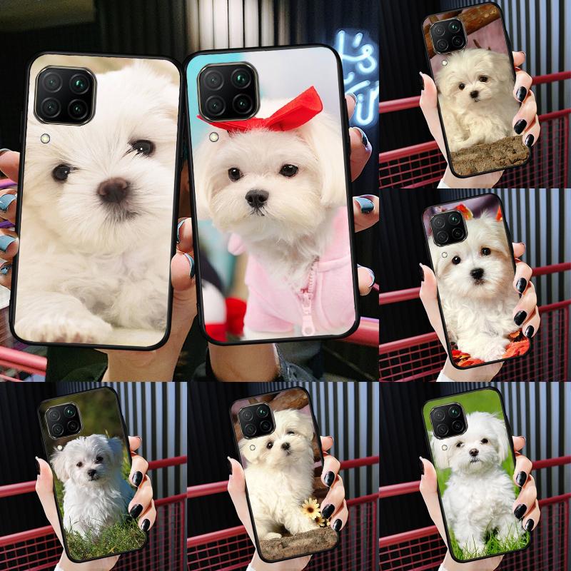 Maltese Dog Puppies For Huawei Nova Y91 Y60 Y70 Y72 Y90 Y61 12s 12i 11i 8i 10 9 SE P20 P40 Lite P30 P60 Pro Case