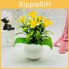Orchid Realistic Plastic Square Pot Potted Plant For Wedding And Display Hotel
