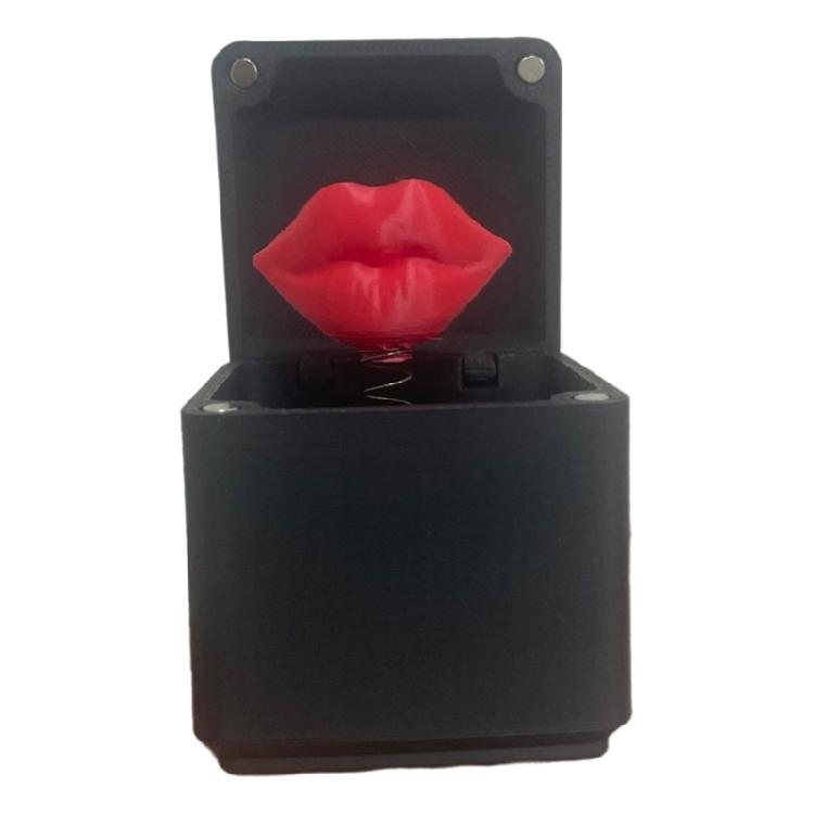 Valentines Day Surprise Present Box Love Heart in Box Rose in Surprise Casefor Wife Friend Valentines Day Christmas