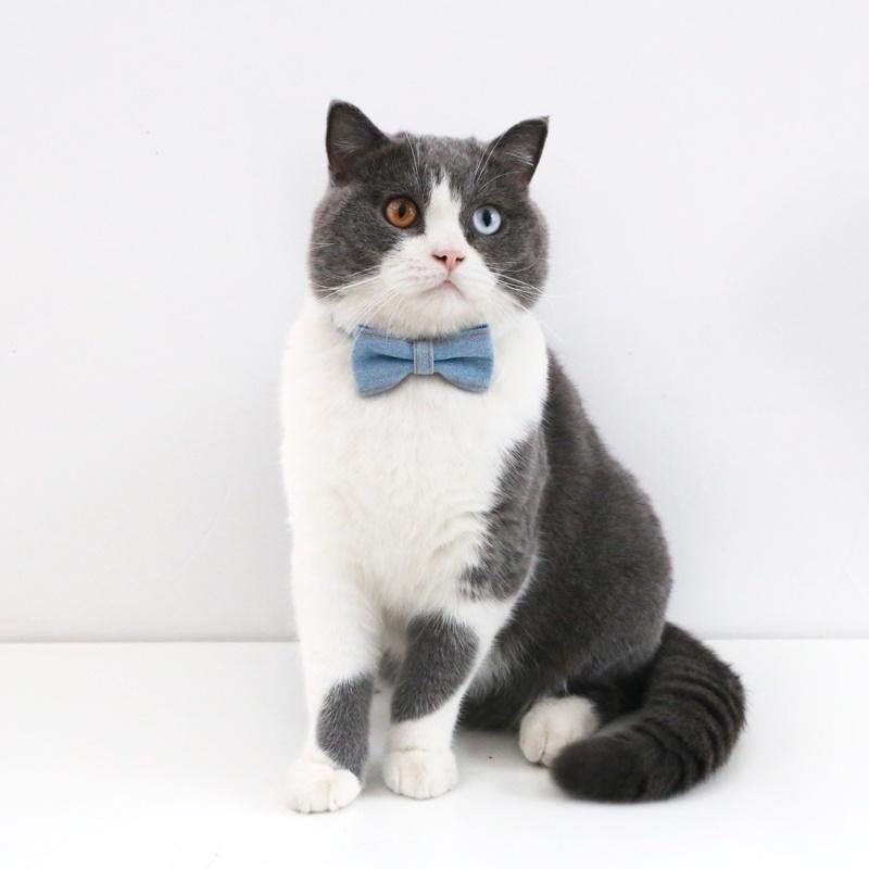 Pet Bow Tie Adjustable Cat Necktie Denim Puppy Collars Fashion Cat Neck Bow Pet Neck Tie Party Wedding Decoration Dog Accessorie