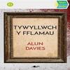 Stori Sydyn Tywyllwch y Fflamau par Alun Davies Livre de poche 9781800996199