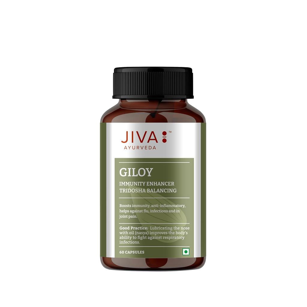 Jiva Giloy Herbal Capsules 60 Count X Pack of 4 | Natural Immunity Booster & Anti-Aging Supplement for Daily Wellness