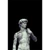 Modern Abstract Greek Statue Poster Zeus Plaster Sculpture Art Canvas Painting David Art Prints Wall Picture for Living Room