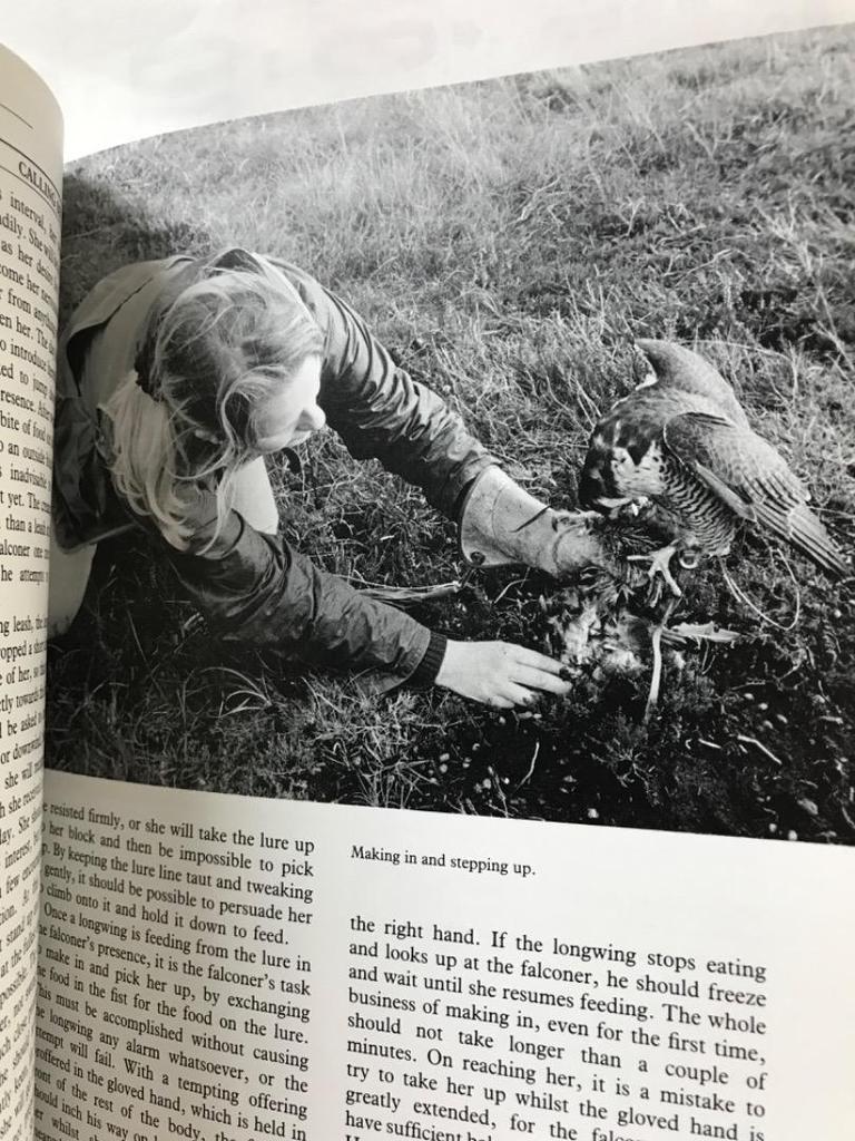 [USED] Falconry: Art and Practice (Revised Edit)